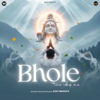 Download Bhole Tere Ishq Me Ajay Bhagta mp3 song