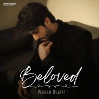 Download Beloved Waseem Mumtaz, Bilal Saeed mp3 song, Beloved Waseem Mumtaz, Bilal Saeed full album download