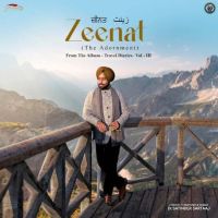Download Zeenat (The Adornment) Satinder Sartaaj mp3 song