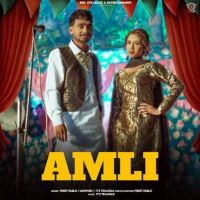 Download Amli Preet Pablo mp3 song